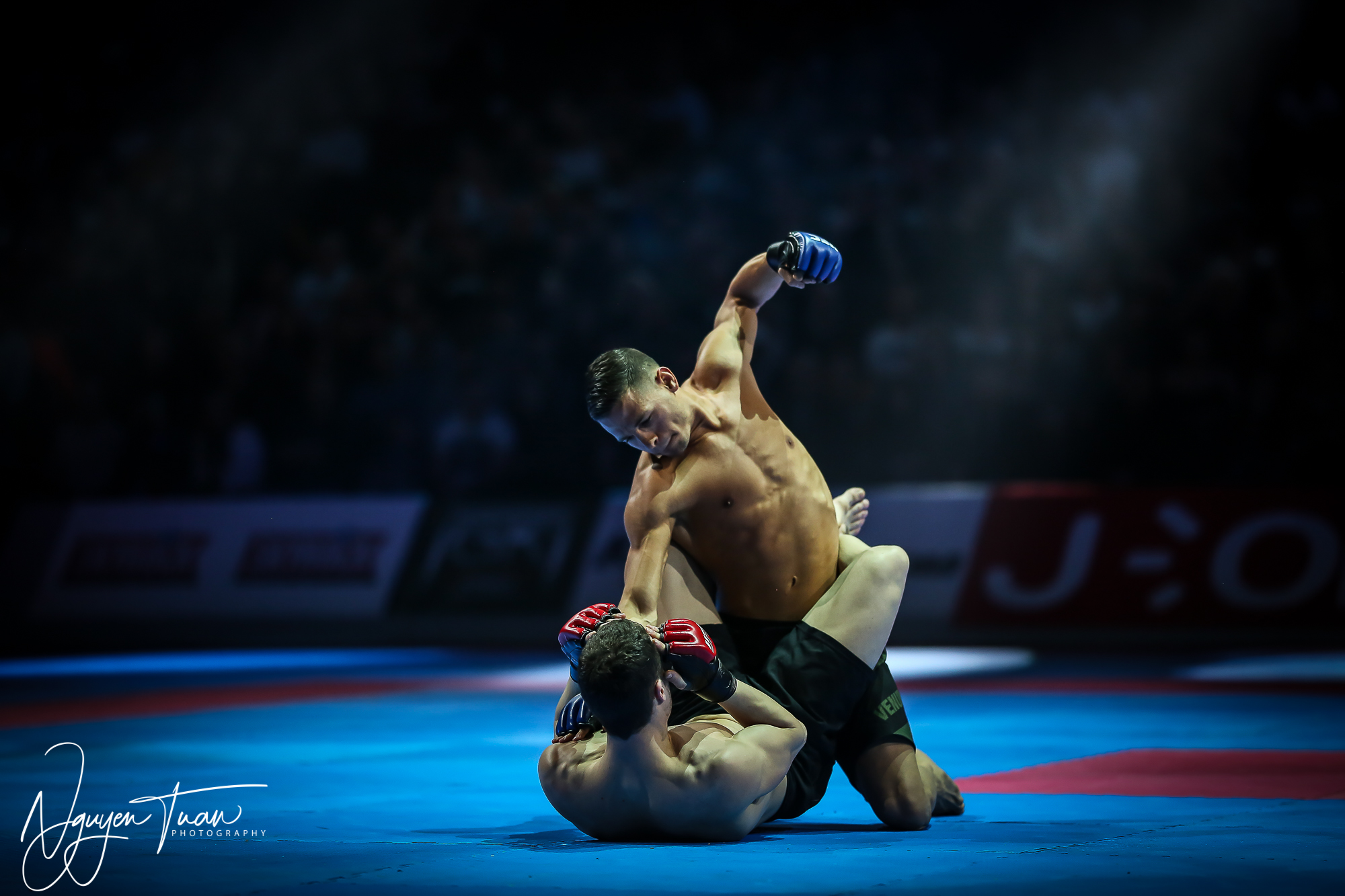 20190324 Festival des Arts Martiaux 5111